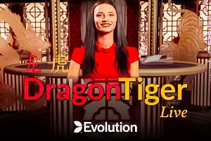 Dragon Tiger game cover